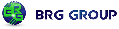 BRG Group logo with globe design.